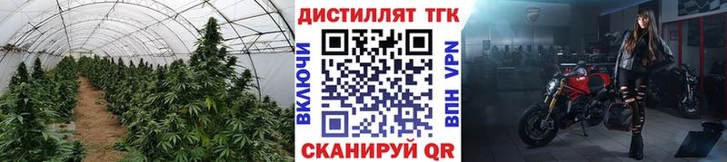 что такое наркотик  Минеральные Воды  сайты даркнета наркотические препараты  ТГК концентрат 